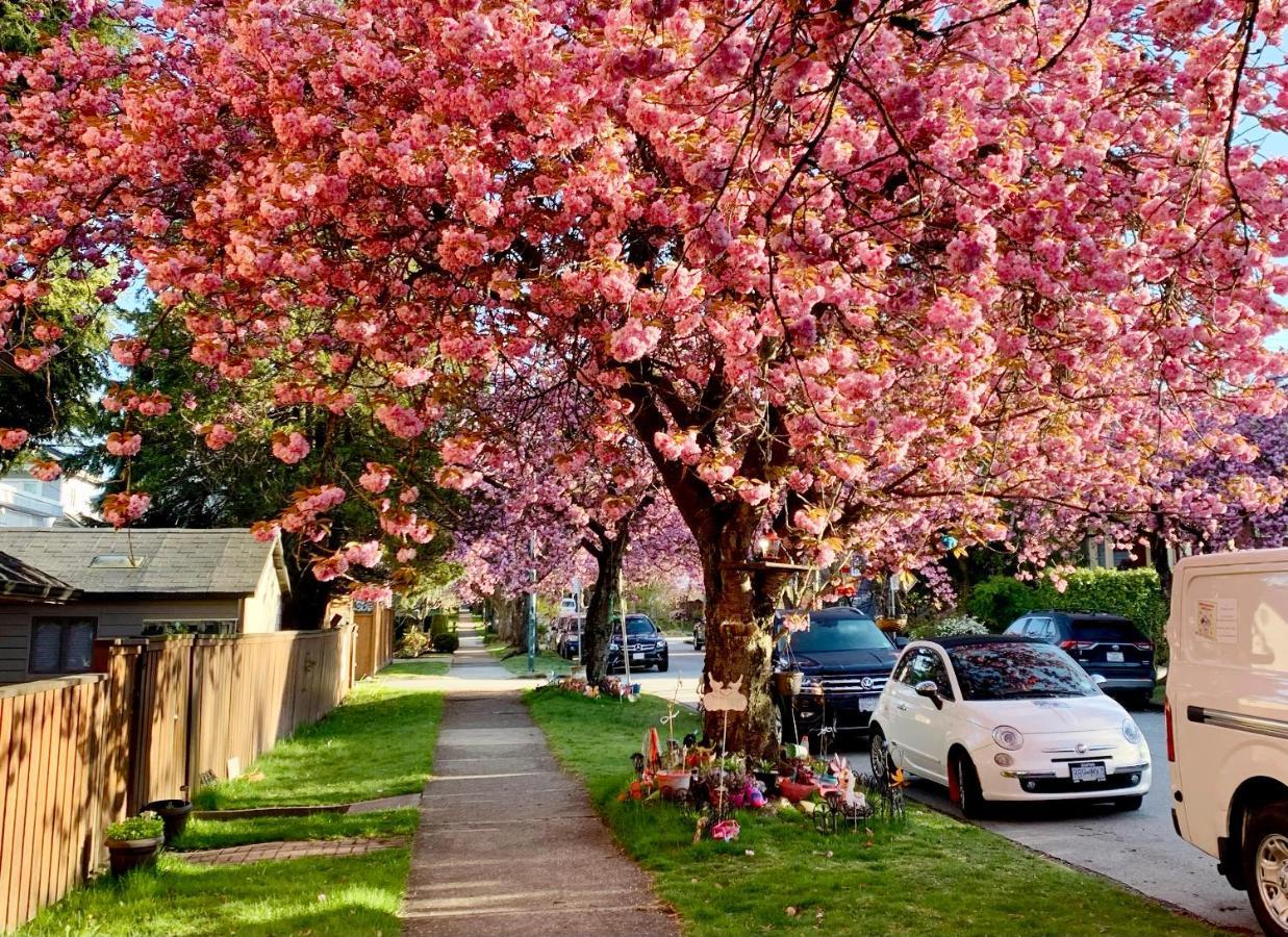 Private Guest Suite 10Mins To Downtown - King Bed - Bathtub - Free Parking Vancouver Exterior photo